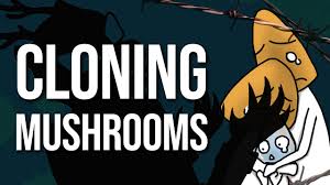 Jun 13, 2019 · allow the pressure cooker to cool off before removing. How To Make A Spore Syringe From Spore Print Youtube