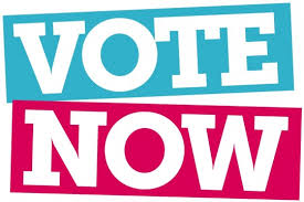 Image result for vote