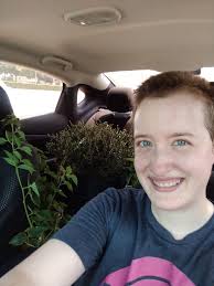 Wild bergamot is popping up all over 💜