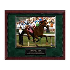 How many homes have white and stainless steel kitchen? Triple Crown Winners Autographed Horse Racing Displays Touch Of Modern