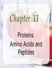Experts in career and technical education * partners in health and wellness. Ch11 Pdf Chapter 11 Proteins Amino Acids And Peptides Images Shutterstock Com Objectives Identify Amino Acid Classifications Based On Nutritional Use Course Hero