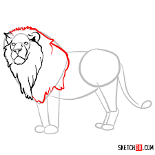 But it is also fun to draw those fierce lions, tigers and bears when they are cute and cuddly. How To Draw A Lion Standing Wild Animals Sketchok Easy Drawing Guides