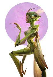 We did not find results for: Mantis Chaichan Artwichai On Artstation At Https Www Artstation Com Artwork Redna Concept Art Characters Character Art Fantasy Creatures