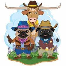 These pugs are currently available for adoption. 2017 Pug Dog Of America National Specialty Show Home Facebook