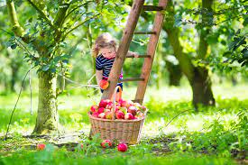 We did not find results for: Kinder Im Garten So Begeistern Sie Die Kleinen Furs Grune