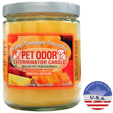 Dinnerware, home fragrance, gifts for every ocassion Pet Odor Exterminator Candle Mango Pineapple Smoothie