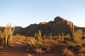 The area is so tremendously huge and definitely worth a longer. Alamo Canyon Campground