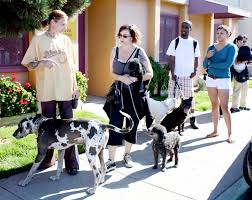 Registered veterinary hospital and get most of the vaccines free or at a cheaper cost. Low Cost Pet Vaccines Sunday
