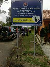 Pusat jagaan kucing (@pusat_jagaan_kucing) … перевести эту страницу. Life Ain T Easy Pusat Jagaan Kucing Terbiar Jasin Siri Buat Kerja