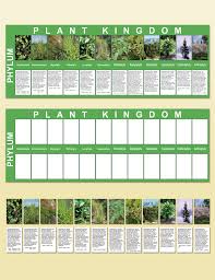 plant kingdom charts montessori research development