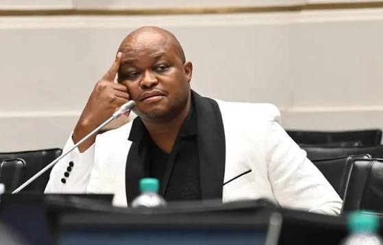 Brown Mogotsi peddled unfounded CIA claims against Mkhwanazi