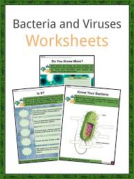 If a person has lockjaw, what disease is he or she suffering from? Bacteria And Viruses Facts Worksheets Basic Information For Kids