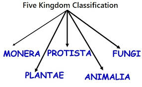 Biology Biological Classification Revision Notes For Neet