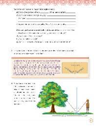 Libro del maestro de telesecundaria tercer grado historia volumen. Poligonos Semejantes 3 Ayuda Para Tu Tarea De Matematicas Vol Ii Sep Secundaria Tercero Respuestas Y Explicaciones