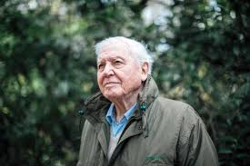 Discuss his documentaries or anything else which you may find relevant. David Attenborough Finally Talks Climate Change In Prime Time Bbc Slot New Scientist