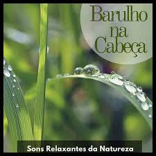 + som da chuva natural, cachoeira, selvas noite + som natural de correntes de água + concentração + absolutamente relaxante! Barulho Na Cabeca Sons Relaxantes Da Natureza De Relaxamento Sons Da Natureza Ruido Branco Musicas Clube Napster