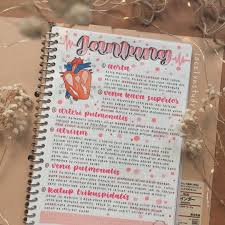 C E L Y N On Instagram Happy Friday I Made This Notes 2 Weeks Ago Haha Btw My 2 Latest Post Have Some Pink Vibes Di 2020 Buku Tulis Buku Buku Pelajaran