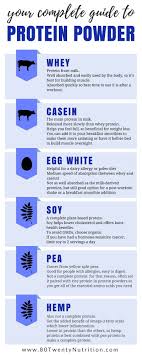 Pin On Protein