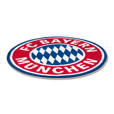 Fan Teppich Logo Offizieller Fc Bayern Fanshop