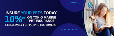 Tokio marine holdings, inc., formerly known as millea holdings until 2008, is a multinational insurance holding company headquartered in tokyo, japan. Tokio Marine Nichido Fire Insurance Co Ltd Petpro Ae
