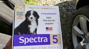 Factors such as which part of the country you live in, and your dog's individual. Spectra 5 Shots Time Youtube