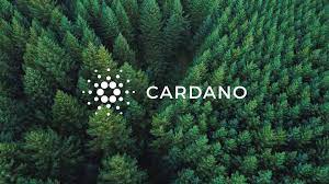 Download and use 10,000+ wallpaper 1920x1080 stock photos for free. Cardano Wallpapers Album On Imgur