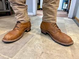 Image result for Light Brown 1964 Tappan