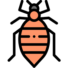Hotels and motels lodge many travelers from all over the world. Spc Professional Pest Control Services Across India Mumbai Pune Hyderabad Bangalore Thane