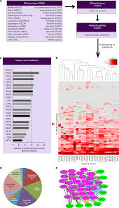 The latest travel information, deals, guides and reviews from usa today travel. Pan Cancer Analysis Of Transcriptional Metabolic Dysregulation Using The Cancer Genome Atlas Nature Communications