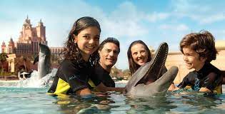 خليج الدلافين دبي luxury tourism orlando tours dolphin encounters