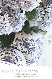 When to cut hydrangeas for drying. How To Dry Hydrangeas The Easy Way Stonegable