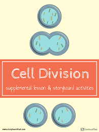 Bioflix Activity Mitosis The Cell Cycle Cell Division Activities Mitosis Activity Cell Division Division Lesson Plans