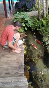 Cool 42 Cute Minimalist Fishpond Design For Privacy Small Backyard Http Decorhead Com 2018 12 28 Ponds Backyard Backyard Water Feature Small Backyard Design