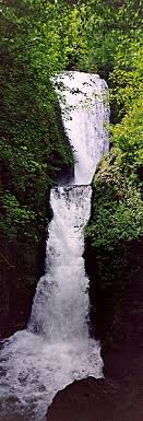 Maybe you would like to learn more about one of these? Bridal Veil Falls Oregon Wikipedia
