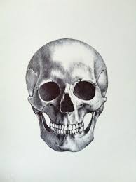 Come Disegnare Un Teschio A Matita Skull Art Draw
