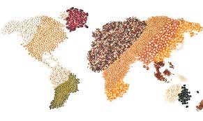 Maybe you would like to learn more about one of these? Tutti I Cibi Del Mondo A Foligno