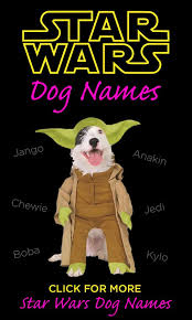 Star Wars Dog Names 85 Awesome Names For Jedi Dogs Dog Names War Dogs Dogs