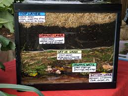 When putting your garden to bed in the fall, a critical aspect of no and low till gardening is to cut your plants at the soil line rather than pulling them out by the roots. Pragmatic Sustainability Making A No Dig Garden Bed