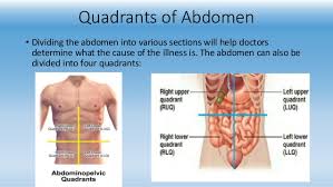 9 Region Of Abdomen