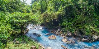 This park is located in the volcanic mountain range in guanacaste and is home to lowland mountain rain forests, tropical wet forest, and the very wet premontane forest. Tenorio Volcano National Park Nature And Geology In Costa Rica