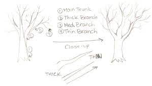 Anime branch drawing elm grass houseplant mural nature oak organism paint painting plant room tree wall watercolor painting watercolor tree woody plant. Manga Tutorials How To Draw Trees Tree Drawing Manga Tutorial Drawings