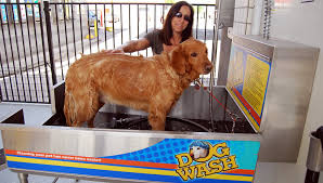 Apply to handler, kennel assistant, animal technician and more! Home Weiss Guys Car Wash