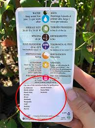 Here are five of laivo's recommendations for backyard fruit trees that will produce bushels of delicious fruit, year after year. 5 Steps For Choosing The Best Backyard Fruit Trees Lady Lee S Home