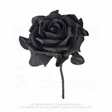 Pin Von Voodoomaniacs Auf Gothic Deko Und Wohnaccessoires Schwarze Rose Schwarze Rosen Rosen Tattoo