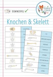Knochen Und Skelett Domino Spiel Unterrichtsmaterial Im Fach Biologie In 2020 Domino Spiele Domino Lernen