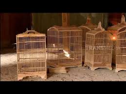 Burung merupakan teman yang asyik untuk dimiliki. Ternyata Begini Cara Membuat Sangkar Burung Ragam Indonesia Youtube