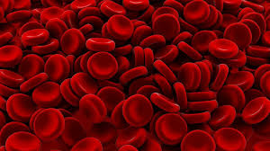 When the cells grow too large, there are fewer of them than there needs to be and. Hematopoiesis Definition Where It Occurs Process And Types