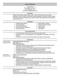 Resume formats with headlines and profiles. Sales Representative Resume Examples Myperfectresume