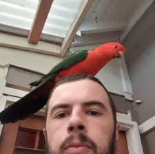 Is it worth connecting two 200AH lithium batteries in parallel without  fully charging the new one first, and waiting for them to equalize?