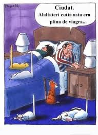 Iti propunem o gama vasta si frumoasa de mesaje de noapte buna. Noapte Buna Imagini Haioase 30 Mioaramiha